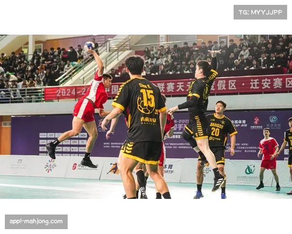 亚洲手球联合会副主席连任，中国在国际组织中持续发声